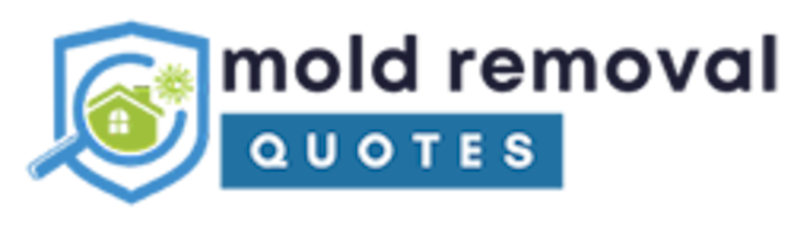 mold removal delray beach